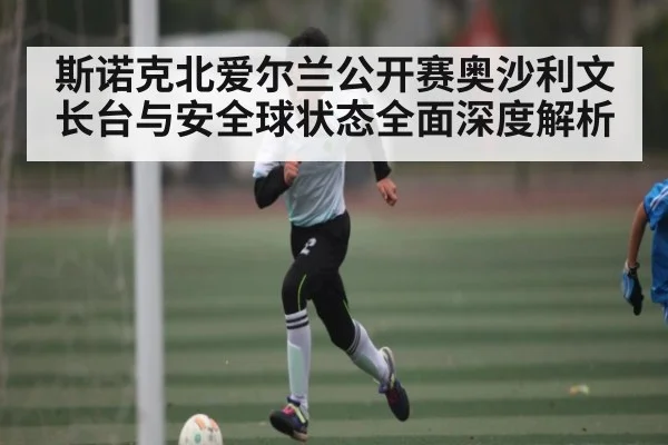斯诺克北爱尔兰公开赛奥沙利文长台与安全球状态全面深度解析 - ng28.h5